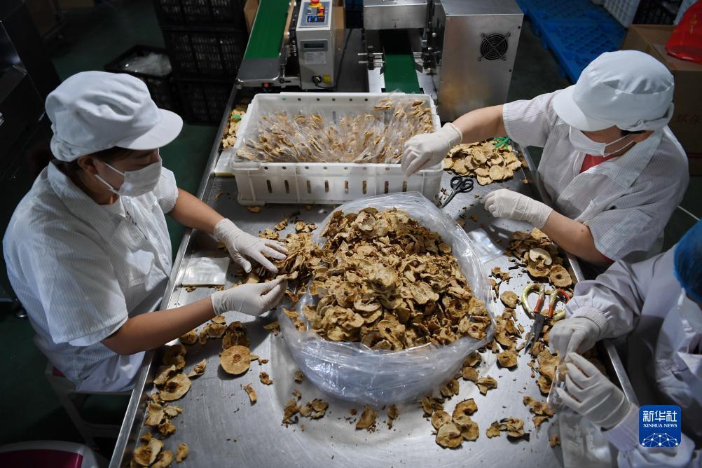 bet真假网站怎么辨认